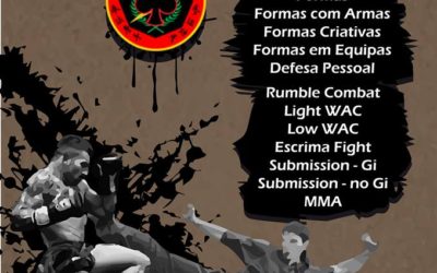 Campeonato nacional FLT